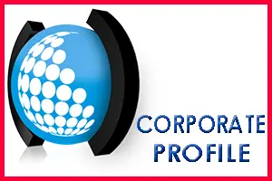 Corporate Profile of Stareon Group